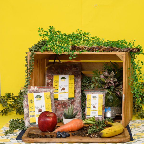 Lisa’s Venison Dinner: For Chicken And Carrot Allergies Dog Food