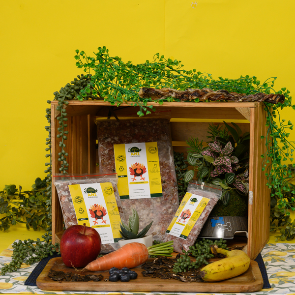 Turkey Dinner Dog Food