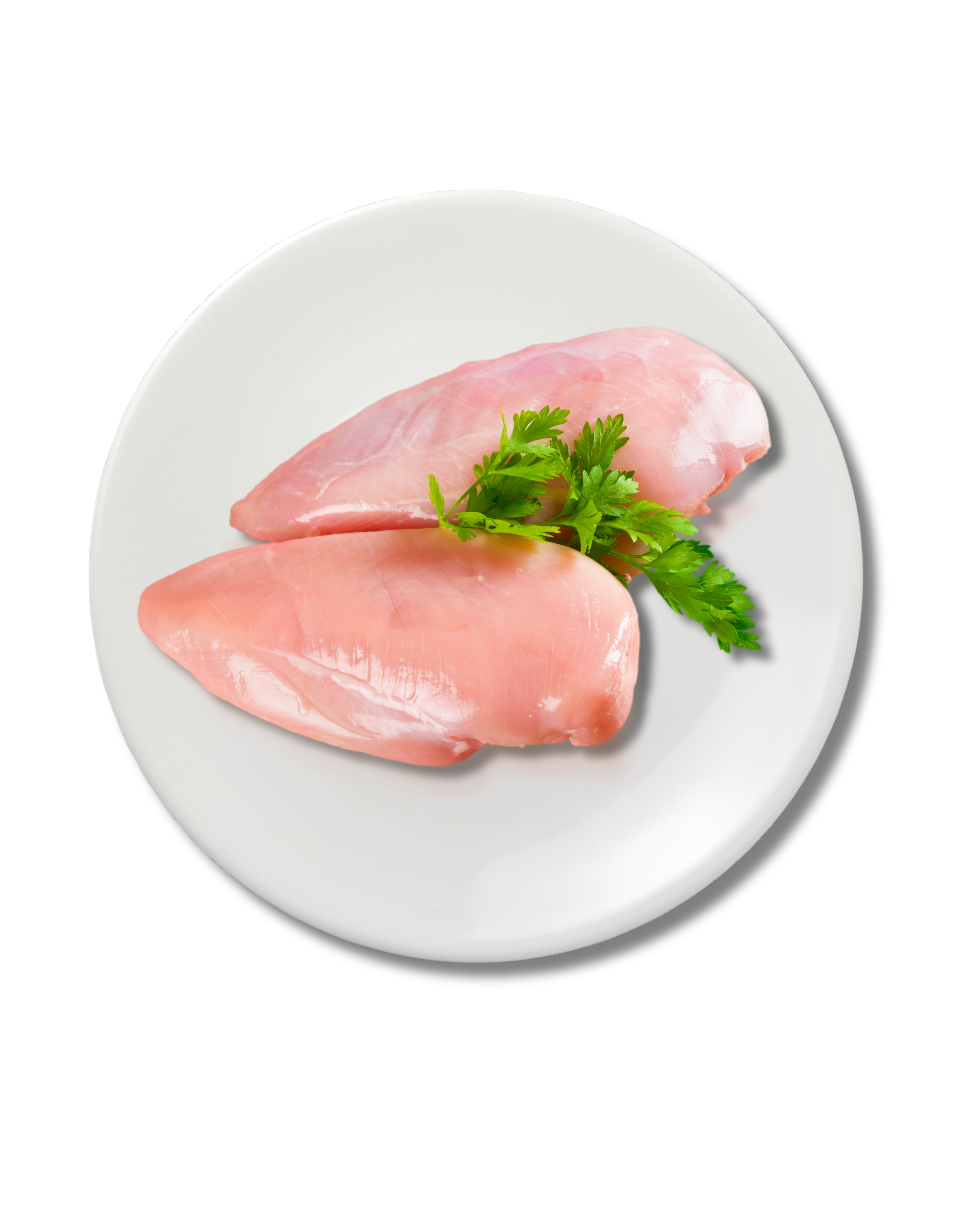 Raw chicken breasts on a white plate with fresh herbs