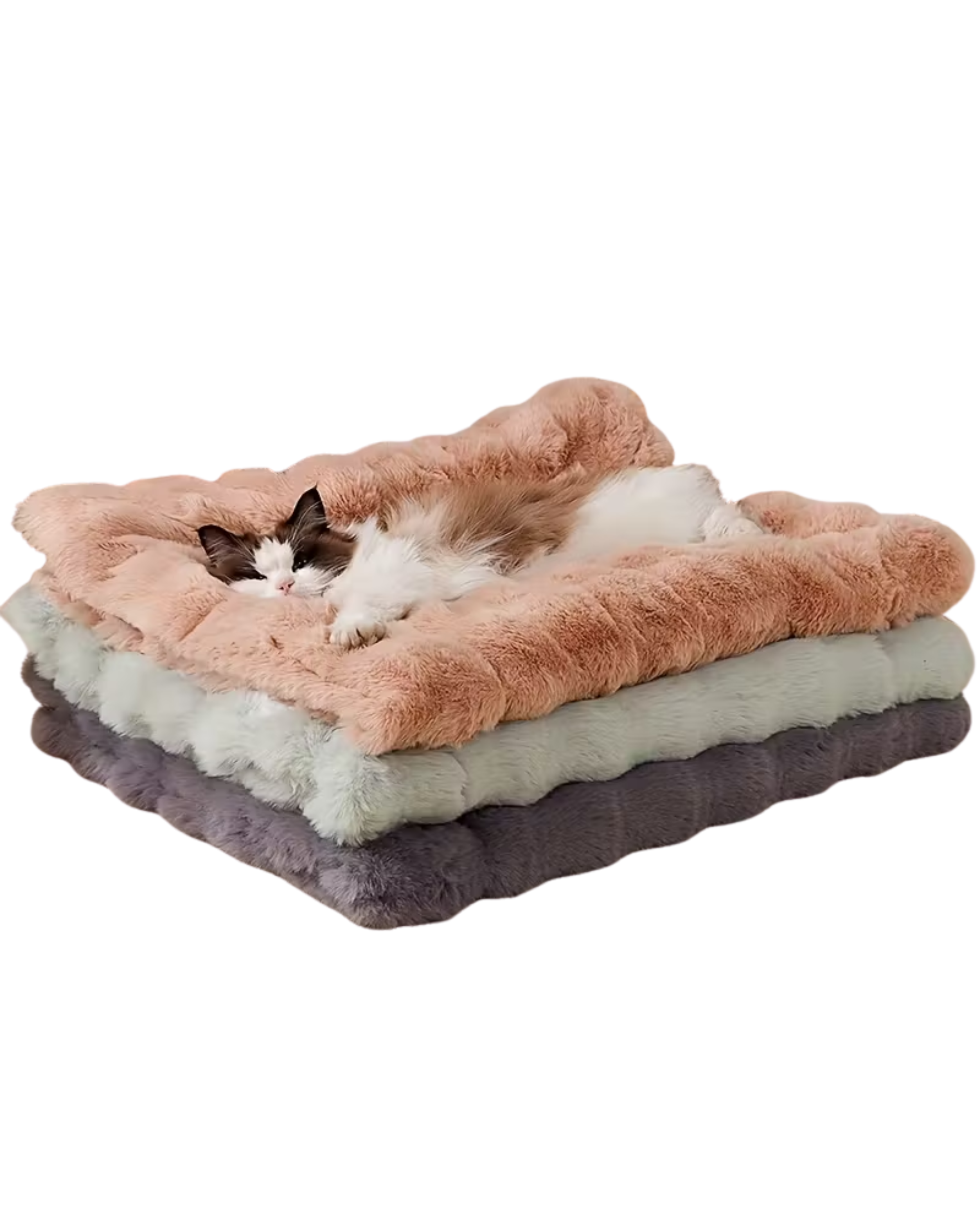Dog & Cat Plush Bed