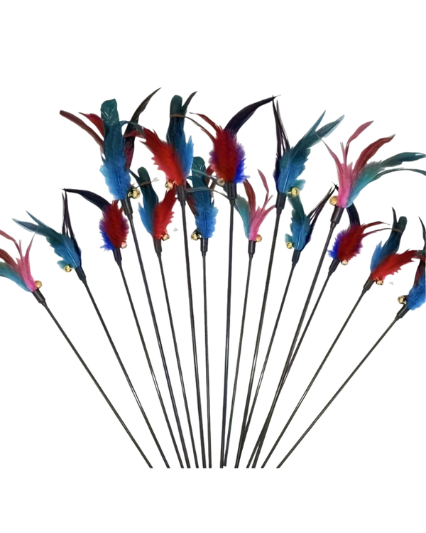 Cat Wand with Feathers