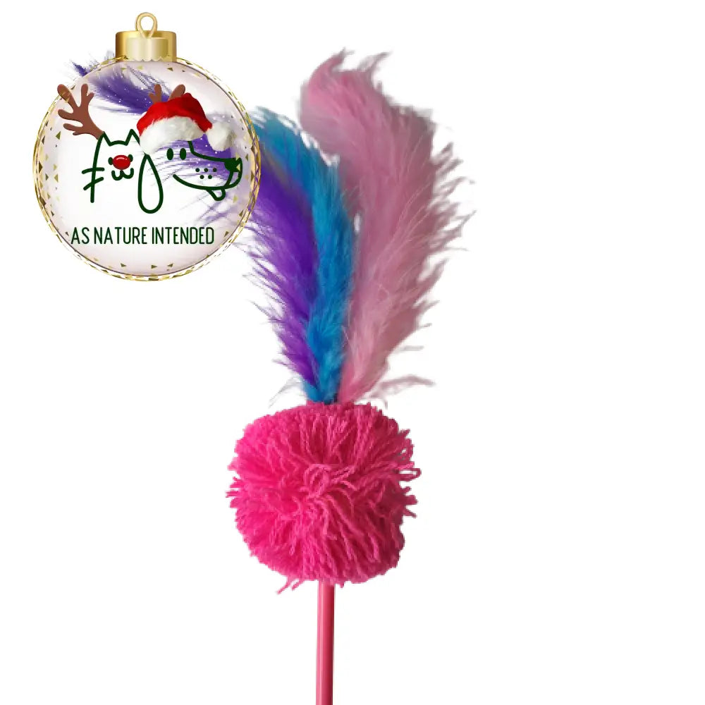 Cat Wand with Feathers