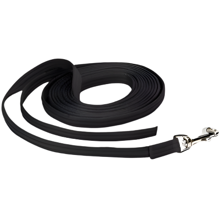 Black dog leash with a metal clip on a white background