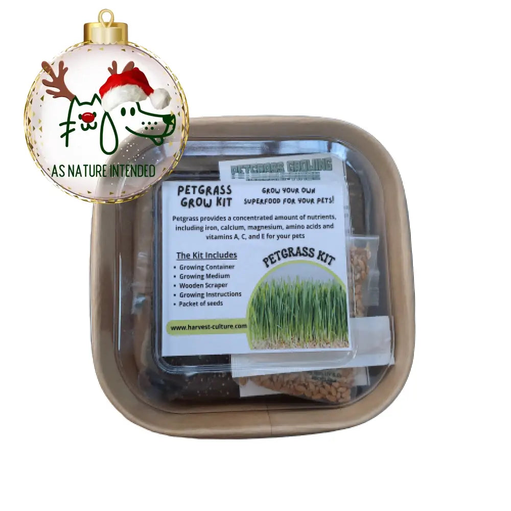 Grow Kit - Petgrass