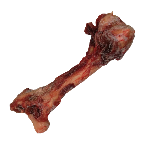 Large Venison Marrow Bones (pack of 2)