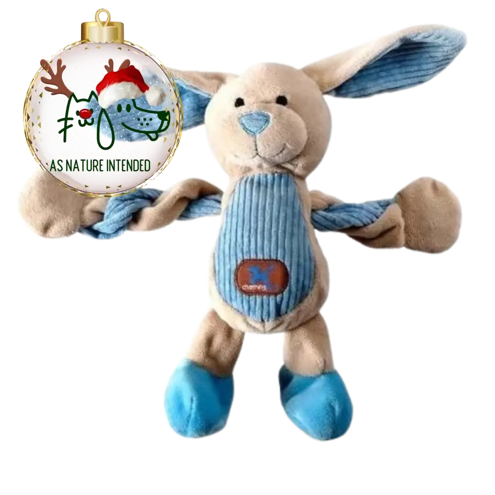 Pulleez Bunny Baby Dog Toys