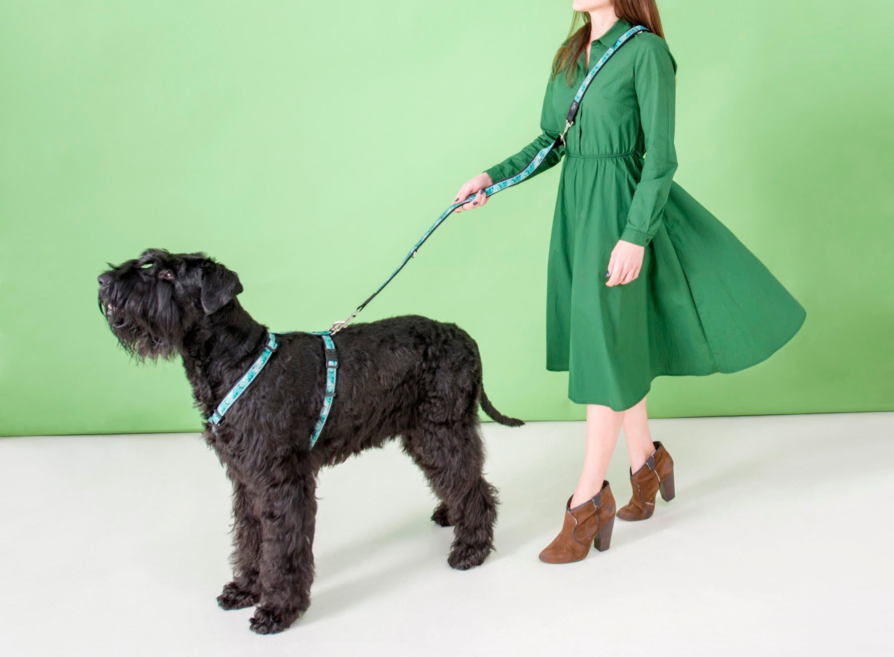 Rogz Collar - Mint Dog