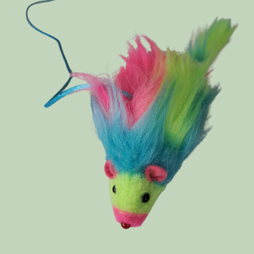 Rainbow Mouse Cat Toy