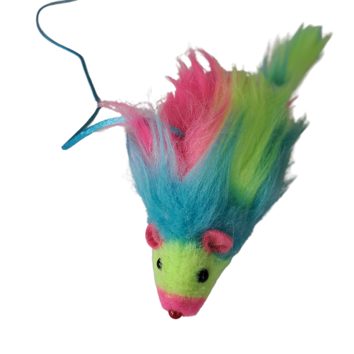 Cat Rainbow Mouse Toy